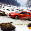 rallyUH-2260473.jpg