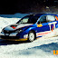 rallyUH-2265059.jpg