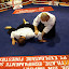 k1gala_059.jpg
