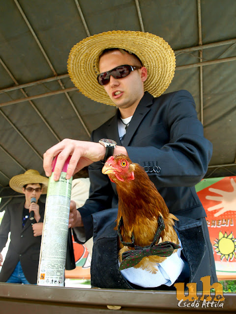 diaknapok_kampany2_04.jpg