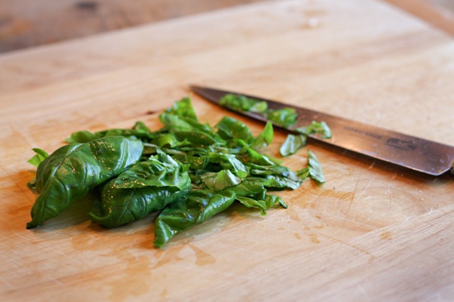 [basil-022web[7].jpg]