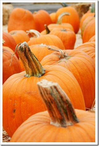 Orange You Glad I Said Pumpkin
