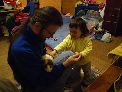 p2223042.jpg