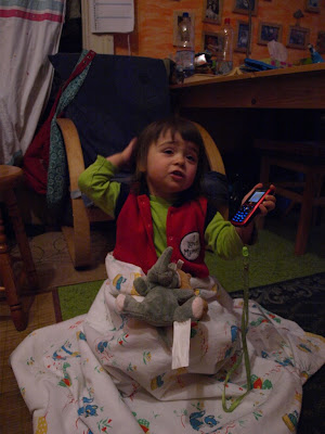 PA316910.jpg