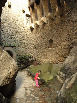 P8046190.jpg