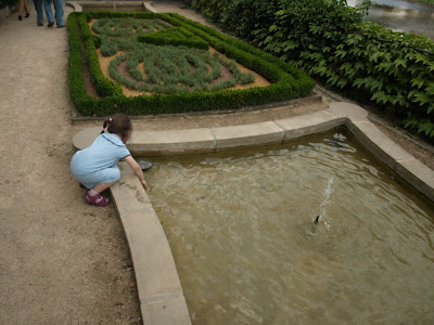 P7305865.jpg