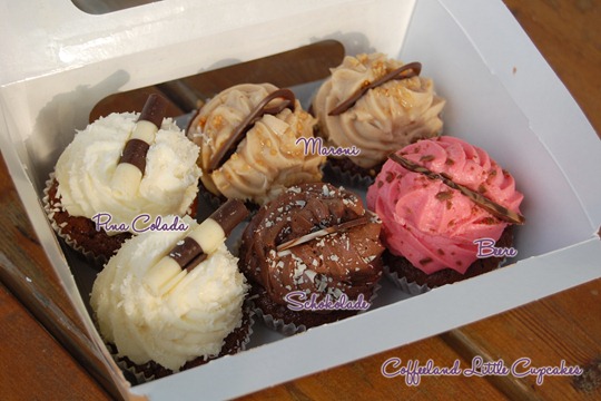 Coffeeland Little Cupcakes
