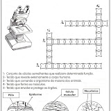 ACTIVIDADES DE CIENCIAS-11.jpg