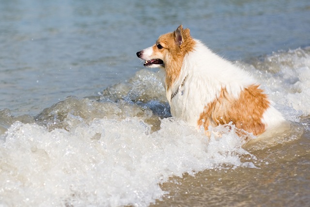 [DSC_4140 copy[10].jpg]