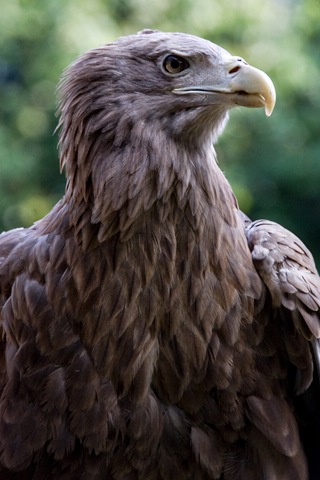 [DSC_3603 copy[6].jpg]