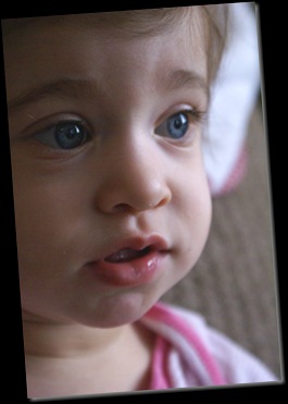 DSC00667 DSC00667