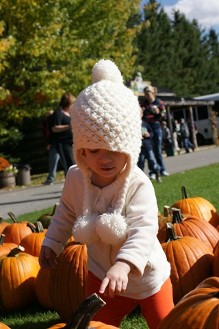 [DSC05570-2[3].jpg]