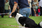 DSC_9814#001.jpg