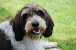 DSC_9790#001.jpg