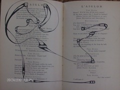 007