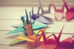 tumblr_le6o4by07l1qb27uro1_500