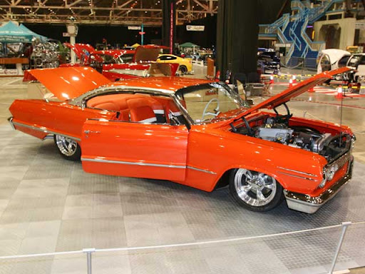 impala impala