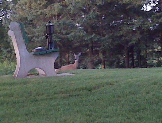 [deer[2].jpg]