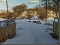 hills geese