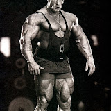 dy94.jpg
