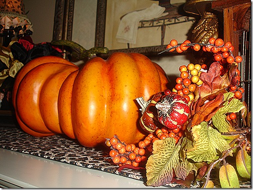 DSC07508 DSC07508