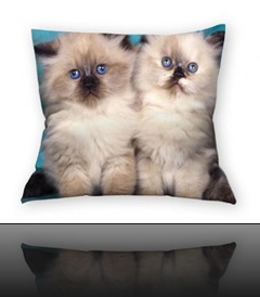 coussin chat coussin chat