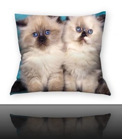 coussin chat