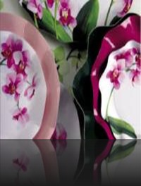 assiette design pas cher assiette design pas cher