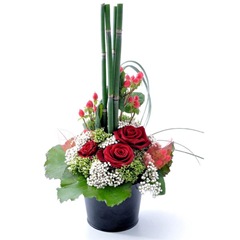 cadeaux fêtes des mère cadeaux fêtes des mère