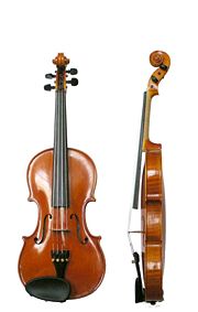 180px-Violin_VL100.jpg