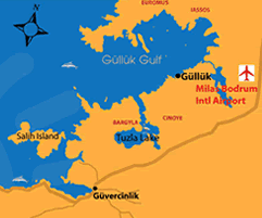 IASOS HARİTA.png