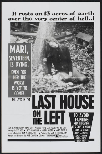 http://lh6.ggpht.com/_IGcPoXkEPio/STY-SY2GKqI/AAAAAAAAfbY/P8C0OLDFXP0/last_house_on_the_left_poster_01.jpg