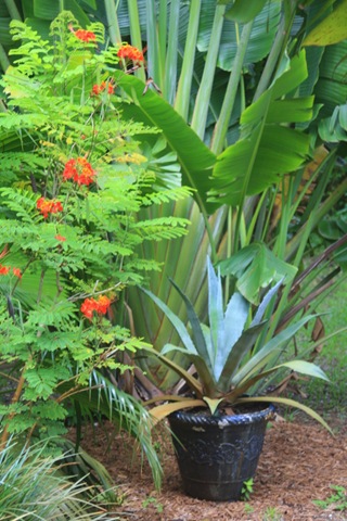 [garden 025-1[3].jpg]