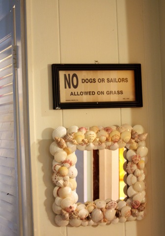 [shells 010[3].jpg]