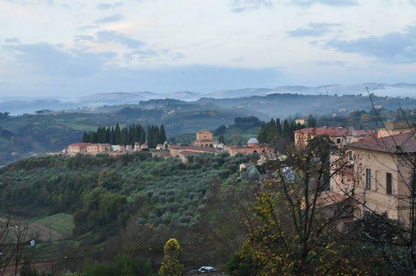 DSC_0248.JPG
