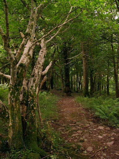 Killarney National Park