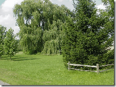 picture-uh=fd88fb59dcbba3f91e127d98891efbe8-ps=9422ed4f95c54b0ed4e7070f5e96046-LOT-LAND-Conneaut-Lake-PA-16316