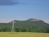 IMG_1258.JPG