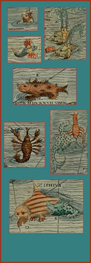 Carta Nautica de Olaus Magnus