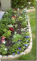 garden6 garden6