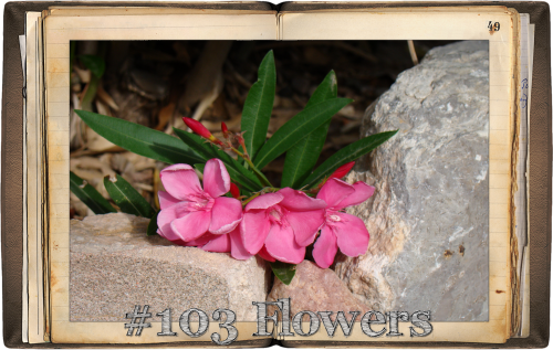 103small