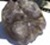 250px-Fluorite_with_Iron_Pyrite[4]