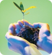 ecología