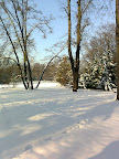 Park Szczytnicki we Wrocławiu - Zima Slideshow
