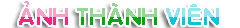 http://lh6.ggpht.com/_ILpyCl9c6C0/TPOssWUVlZI/AAAAAAAAAmI/LQqb1I-cbUo/anh-thanh-vien.gif
