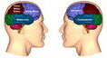 http://lh6.ggpht.com/_ILpyCl9c6C0/TQbYx8CUKlI/AAAAAAAAAt0/rBR9SI6yvHI/trithuc.jpg