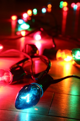 [christmas-lights_0357-sm[3].jpg]