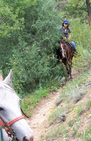 [Equi-Leah 215[4].jpg]