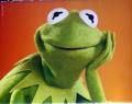 Kermit thinking