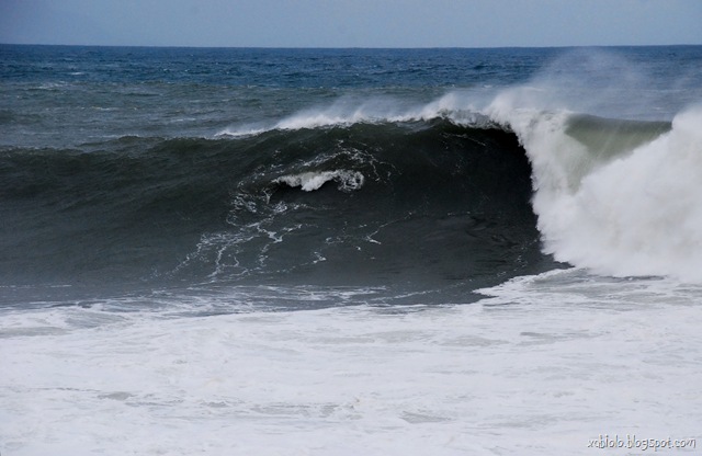 [DSC_01580001[8].jpg]